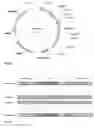 Fig. 63 - Biological methods for preparing adipic acid