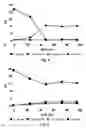 Fig. 16 - Thermophilic Organisms For Conversion Of Lignocellulosic Biomass To Ethanol