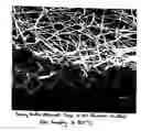 Fig. 01 - NANOFIBERS WITH MODIFIED OPTICAL PROPERTIES