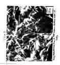 Fig. 04 - NANOFIBERS WITH MODIFIED OPTICAL PROPERTIES