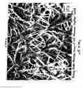Fig. 07 - NANOFIBERS WITH MODIFIED OPTICAL PROPERTIES