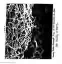 Fig. 08 - NANOFIBERS WITH MODIFIED OPTICAL PROPERTIES