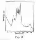 Fig. 09 - NANOFIBERS WITH MODIFIED OPTICAL PROPERTIES