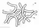 Fig. 01 - Gradient nanofiber non-woven