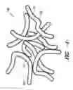 Fig. 02 - Gradient nanofiber non-woven