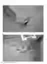 Fig. 09 - Hive-mounted disseminator device