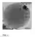 Fig. 02 - RASPBERRY-TYPE METAL OXIDE NANOSTRUCTURES COATED WITH CEO2 NANOPARTICLES FOR CHEMICAL MECHANICAL PLANARIZATION (CMP)