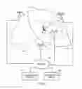 Fig. 07 - Method and system for preauthenticating a mobile node