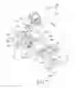 Fig. 08 - Exercising device