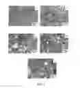 Fig. 02 - Porous catalyst for a fuel cell and method for producing the catalyst thereof