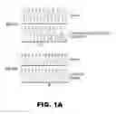 Fig. 02 - Compositions and methods for detecting cancer metastasis