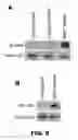 Fig. 16 - Compositions and methods for detecting cancer metastasis