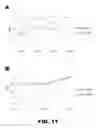 Fig. 20 - Compositions and methods for detecting cancer metastasis