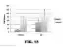 Fig. 28 - Compositions and methods for detecting cancer metastasis