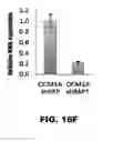Fig. 34 - Compositions and methods for detecting cancer metastasis