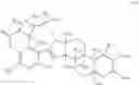 Fig. 07 - Methods for Identifying Autophagy Inducing Compounds