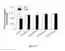 Fig. 09 - Methods for modulating neuronal responses