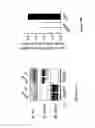Fig. 11 - Methods for modulating neuronal responses