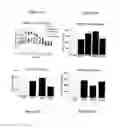 Fig. 16 - Methods for modulating neuronal responses