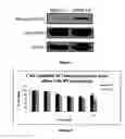 Fig. 07 - Lanthanide metal complexes useful in treating cancer