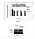 Fig. 09 - Lanthanide metal complexes useful in treating cancer