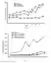 Fig. 06 - C-substituted diindolylmethane compositions and methods for the treatment of multiple cancers