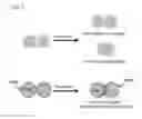 Fig. 02 - Porogen compositions, methods of making and uses