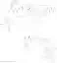 Fig. 83 - Multimodal imaging of fibrin
