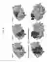 Fig. 05 - FLUOROBODIES: INTRINSICALLY FLUORESCENT BINDING LIGANDS