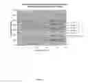 Fig. 02 - Method for preparing molecular complexes between adapalene and cyclodextrins