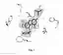 Fig. 02 - Structure Based Design Of Inhibitors Of Human Thymidylate Synthase