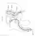 Fig. 09 - Rectal catheter for urological and other applications