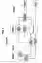 Fig. 02 - Endoscope apparatus displaying information indicating gravity direction on screen