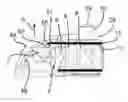 Fig. 01 - Endoscope with variable direction of view