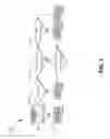 Fig. 05 - Systems and methods for shortened look locker inversion recovery (Sh-MOLLI) cardiac gated mapping of T1