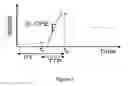 Fig. 02 - Method of Analysis for Dynamic Magnetic Resonance Perfusion Imaging