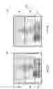 Fig. 05 - METHOD AND APPARATUS FOR GENERATING MEDICAL IMAGES