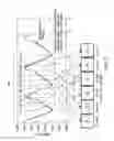 Fig. 06 - METHOD AND APPARATUS FOR GENERATING MEDICAL IMAGES