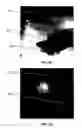 Fig. 05 - IMAGING METHODS AND COMPOSITIONS COMPRISING FLUORESCENT DYES ASSOCIATED WITH VIRAL COMPONENTS FOR NERVE IMAGING