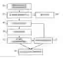 Fig. 01 - Computerized characterization of cardiac motion in medical diagnostic ultrasound