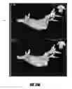 Fig. 45 - Method for determining the location of regions in tissue relevant to electrical propagation