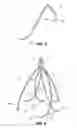 Fig. 03 - Endovascular filter and retrieval apparatus