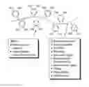 Fig. 01 - Biomimetic compounds and synthetic methods therefor