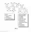 Fig. 02 - Biomimetic compounds and synthetic methods therefor