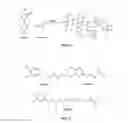 Fig. 06 - Biomimetic compounds and synthetic methods therefor