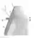 Fig. 50 - KNOTLESS SUTURE ANCHOR FOR SECURING SOFT TISSUE TO BONE