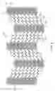 Fig. 09 - Stent with support braces