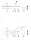Fig. 56 - Systems, devices and methods for providing therapy to an anatomical structure using high frequency pressure waves and/or cryogenic temperatures