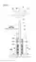 Fig. 02 - Omnidirectional moving body operation system and omnidirectional moving body operation method