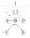 Fig. 02 - Method of Delivering Goods and Services Via Media